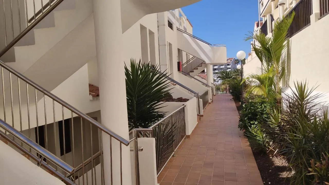 Under The Lime, Beautiful Apartment Los Cristianos Los Cristianos  Los Cristianos (Tenerife)